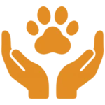 collection and return