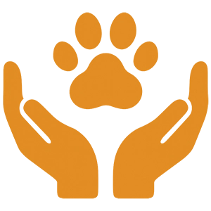 collection and return