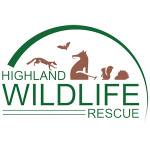 highland wildlife rescue