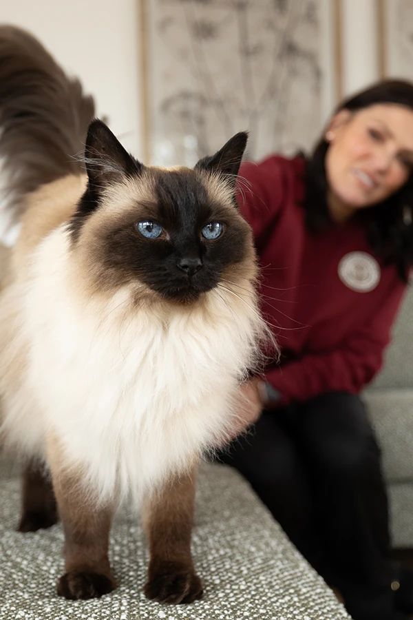 oliver's highland pet crematorium about lisa 6